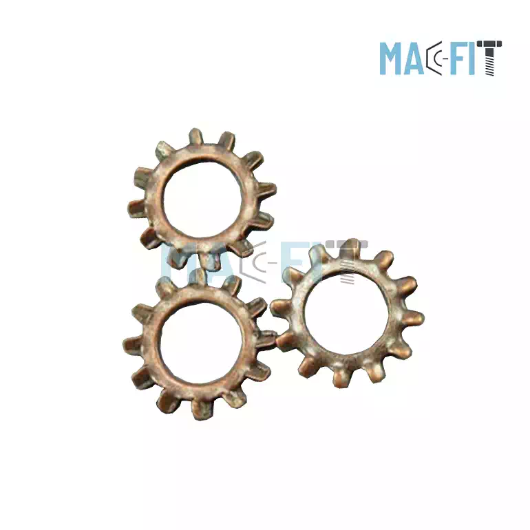 Copper Star Washer